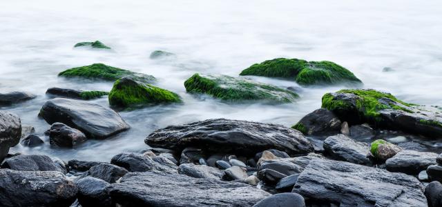 Rocks on Water